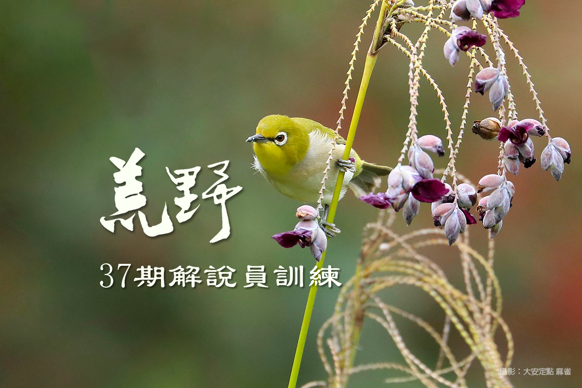 台北第三十七期解說員訓練班遴選說明會